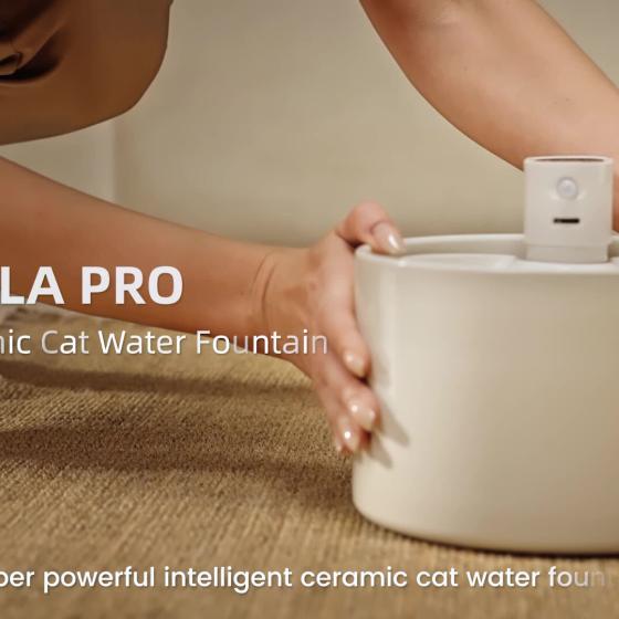 宠物饮水机陶瓷冬天恒温加热陶瓷碗循环过滤猫咪喂水器狗宠物用品